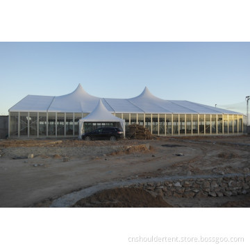 2014 New Marquee Tent (SDC-20)